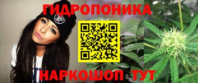 гидра Апшеронск