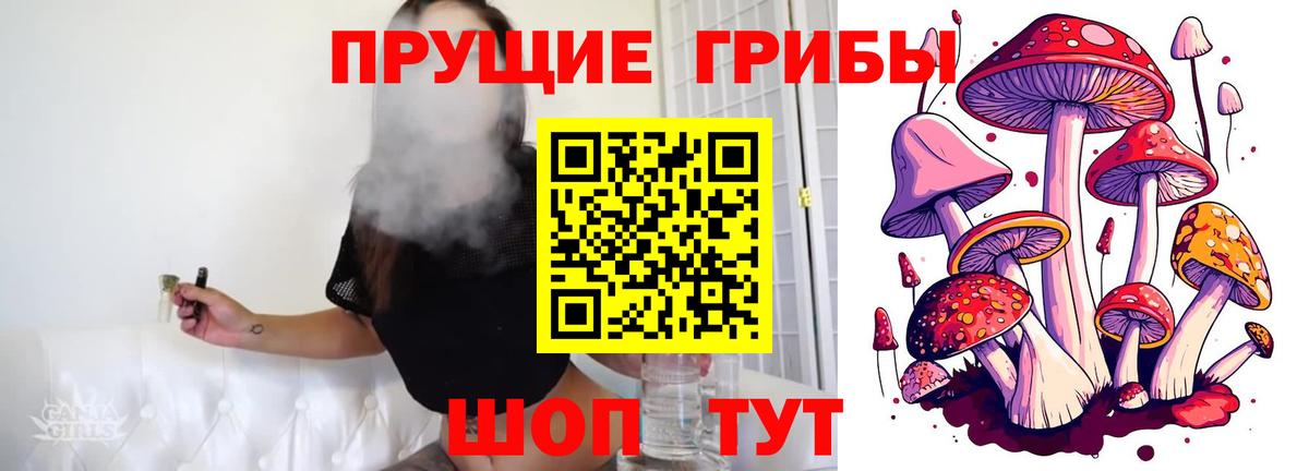 Псилоцибиновые грибы MAGIC MUSHROOMS  Галлюциногенные грибы Cubensis  Вход с VPN  Вышний Волочёк 