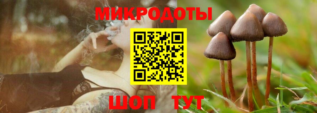 Галлюциногенные грибы GOLDEN TEACHER Вышний Волочёк